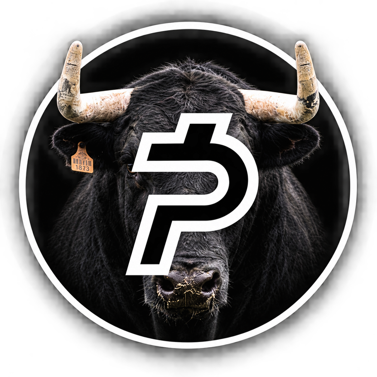 PAIDBULL black bull with ivory horns and a white P emblem